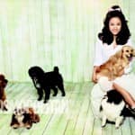 Ли Хё Ри - о бездомных животных в “Cosmopolitan”