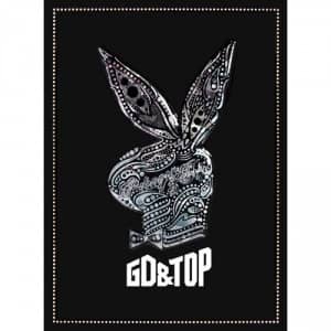 Представлен новый логотип для альбома GD & TOP