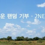 "Лес 2NE1" в Южном Судане