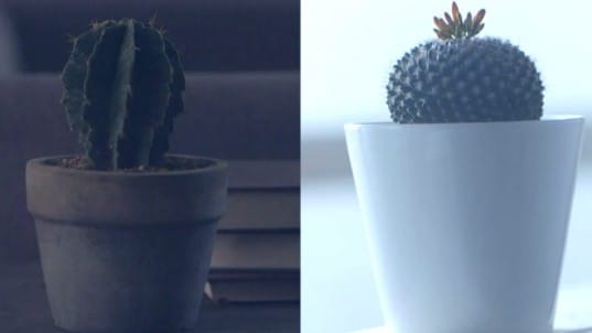 УХён из Infinite и Lucia выпустили видеоклип на "Cactus"
