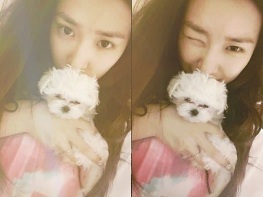 Тиффани из Girls Generation показала своего маленького щенка «Принца Флаффи»