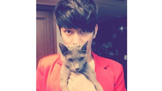 Хичоль из Super Junior загрузил видео своего кота в Instagram