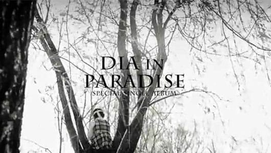 dia_paradise