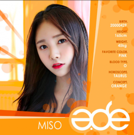 Miso-A.DE_-540x542