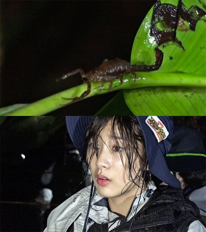 a-pink-hayoung-law-of-the-jungle-1
