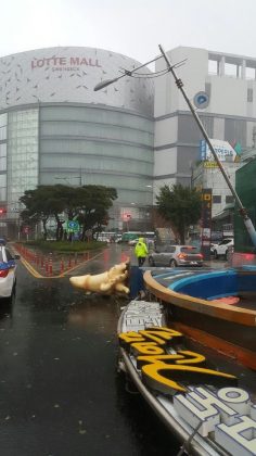 Сильнейший тайфун накрыл южную часть Кореи