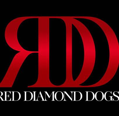 RED DIAMOND DOGS сняли клип на Гавайях