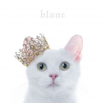 Aimer объявляет о двойном альбоме “blanc” и “noir”