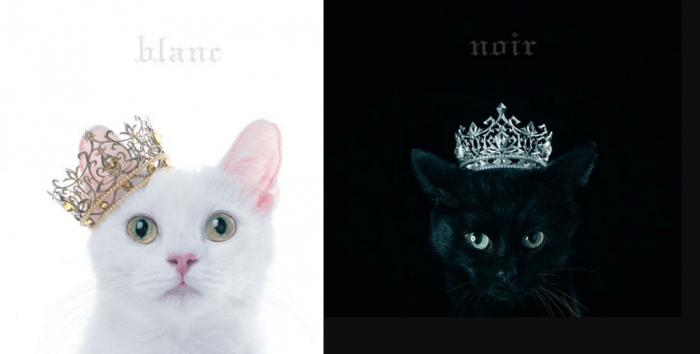 Aimer объявляет о двойном альбоме “blanc” и “noir”