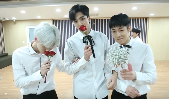 SF9 выпустили специальную версию "ROAR" ко Дню Святого Валентина