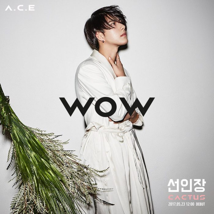 [ДЕБЮТ] Группа A.C.E дебютировала с клипом на песню "CACTUS"