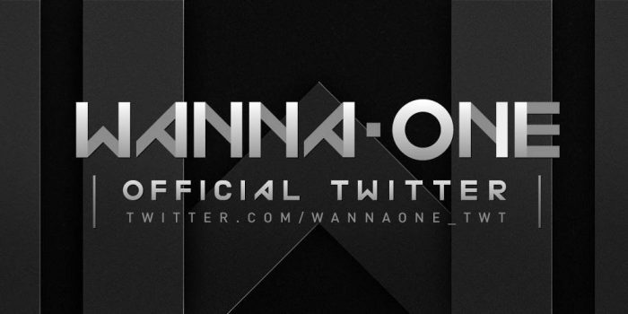 Wanna One открыли учетные записи в Instagram, Twitter и Facebook