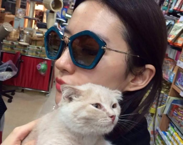 Лю Ифэй приютила более 30 бездомных котиков