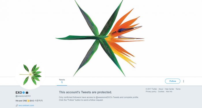EXO завели официальные учетные записи в Twitter, Instagram и Weibo