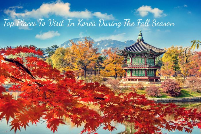 Самые знаменитые места Сеула, которые стоит посетить осенью