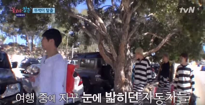 YG Entertainment запрещает участникам WINNER садиться за руль?