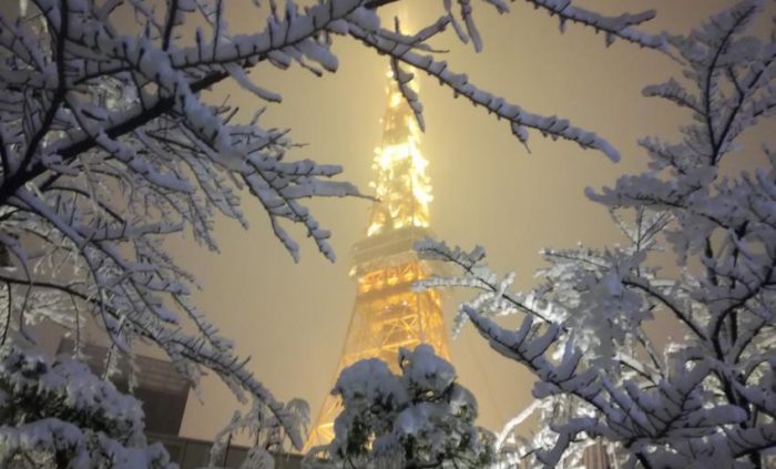 Сильнейший снегопад накрыл Токио и... сделал его еще прекраснее!