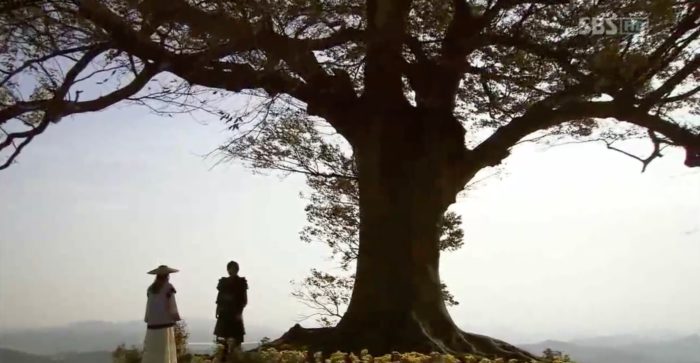 [По местам съёмок дорам] Древо любви на горе Сонхынсан