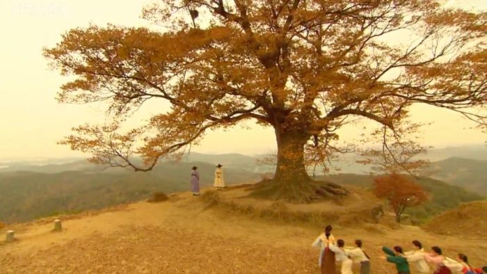 [По местам съёмок дорам] Древо любви на горе Сонхынсан