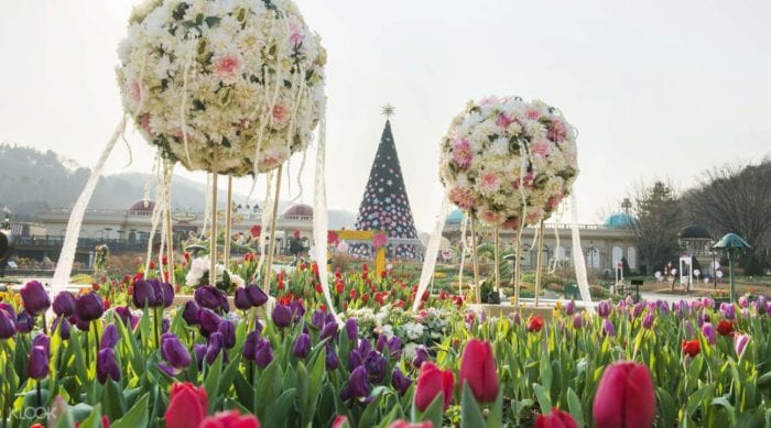 В самом большом парке развлечений Кореи, Everland, начался фестиваль тюльпанов