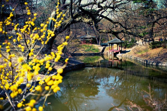 Прекрасные сады и парки Южной Кореи