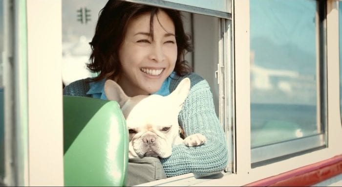 Собака Кусанаги Цуёши, Куруми, дебютировала в рекламе