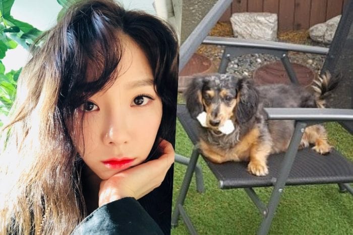 Тэён из Girls’ Generation просит помочь найти собаку Джонхёна