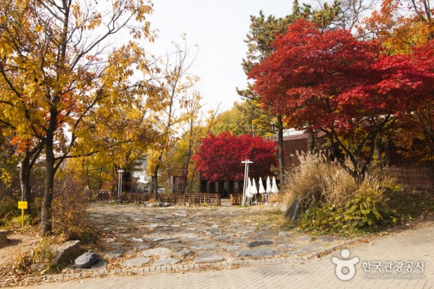 Хэири - оазис искусства в центре Корейского полуострова