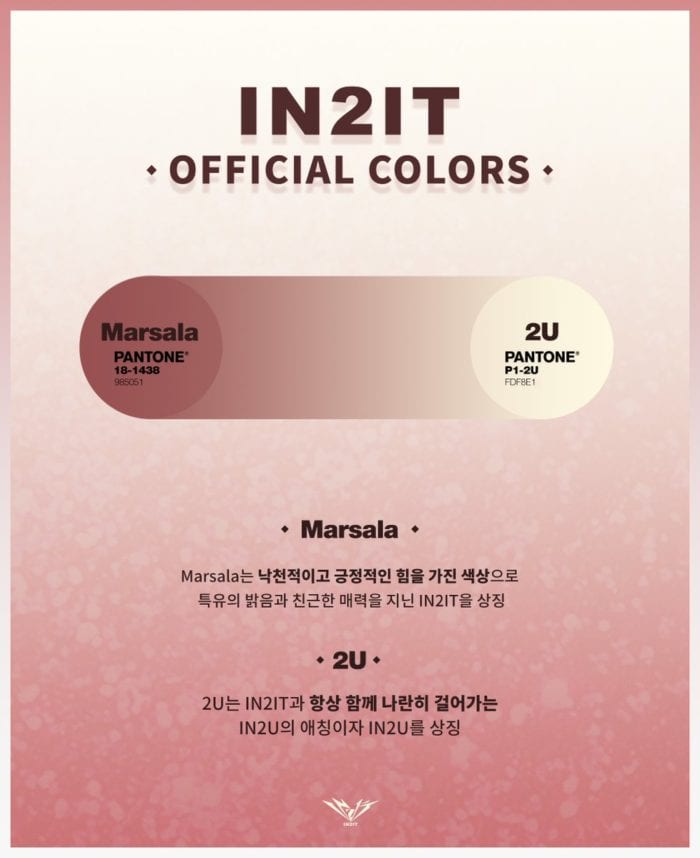 IN2IT представили свои официальные цвета