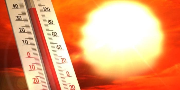 Экстремальная жара приводит к гибели людей в Южной Корее