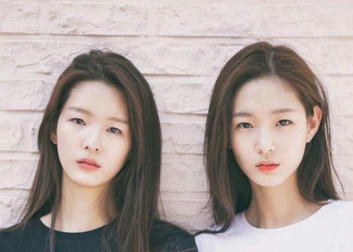Корейские пользователи сети влюблены в этих близняшек из YG