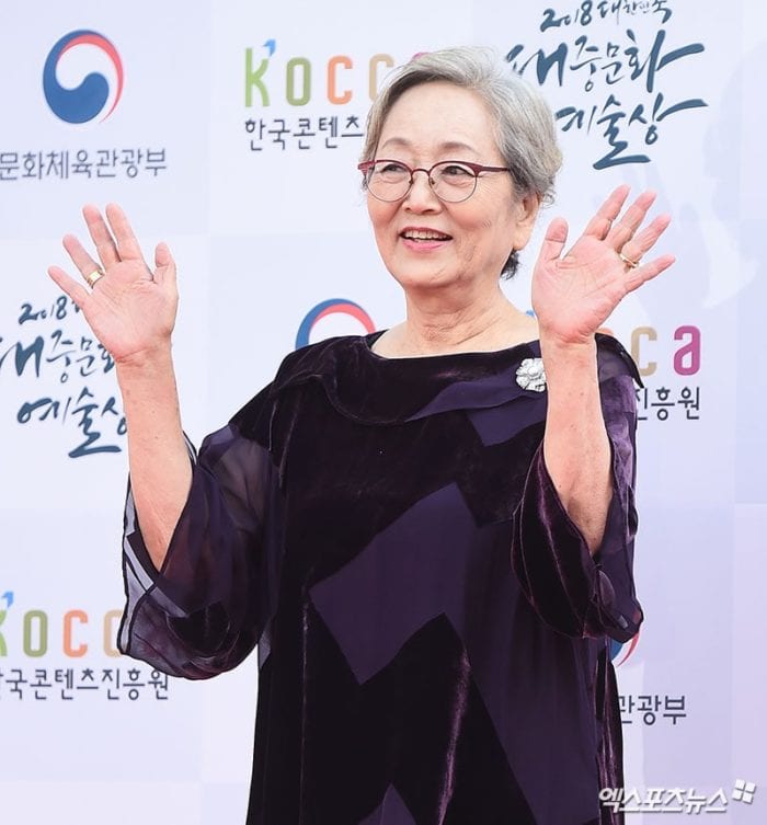 Звезды на красной дорожке 2018 Korean Popular Culture & Arts Awards