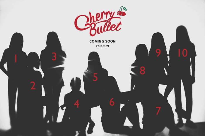 FNC Entertainment представили первых участниц новой группы Cherry Bullet