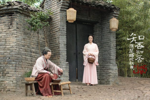 Чжао Ли Ин и Фэн Шао Фэн играют пару в дораме "История Мин Лань"