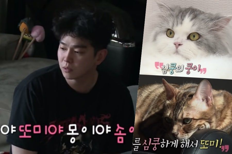 Любовь Юн Кён Сана к его котам растопила сердца нетизенов