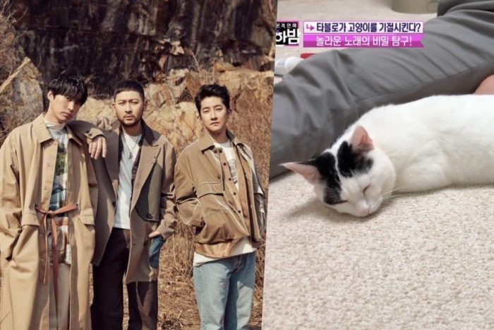 Эксперты делятся идеями, почему песня "Lullaby For A Cat" из последнего альбома Epik High действительно работает