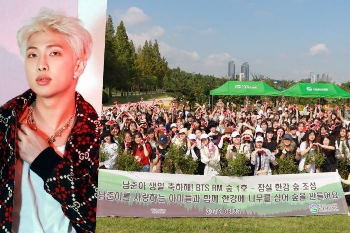 Фанаты RM из BTS высадили новый лес в его честь