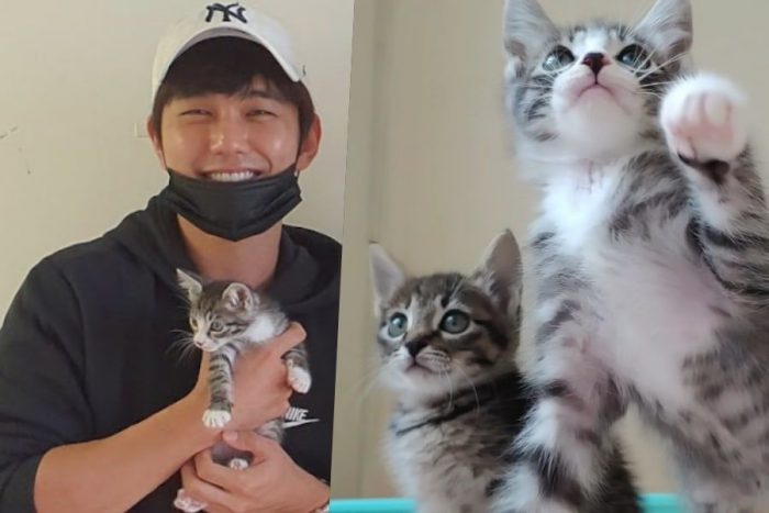 Пользователь YouTube рассказал историю усыновления двух котят актером Ю Сын Хо