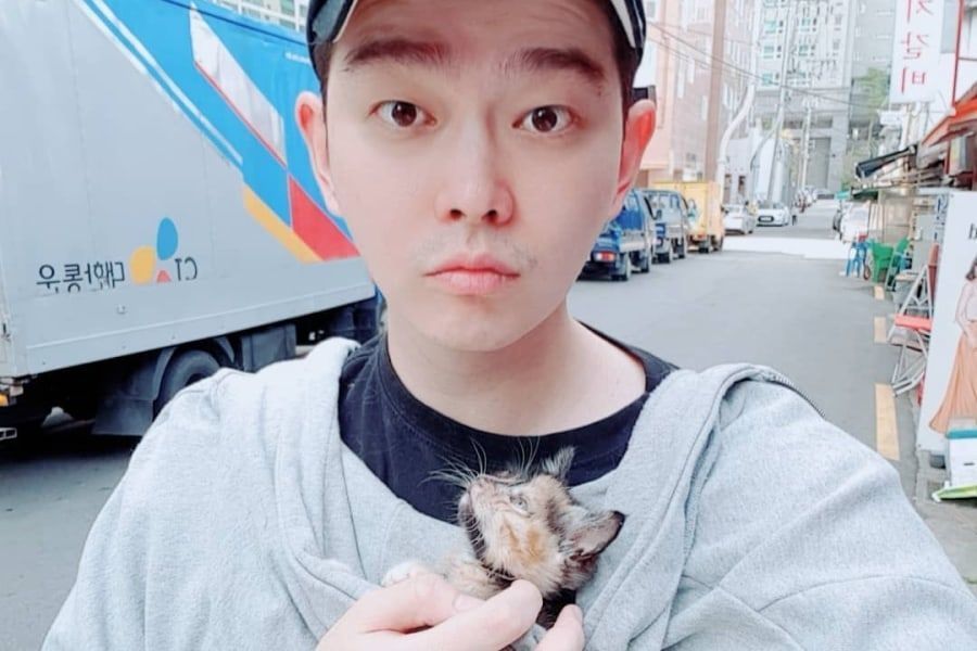 Бездомный котенок покорил сердце Юн Кён Сана и стал частью его семьи