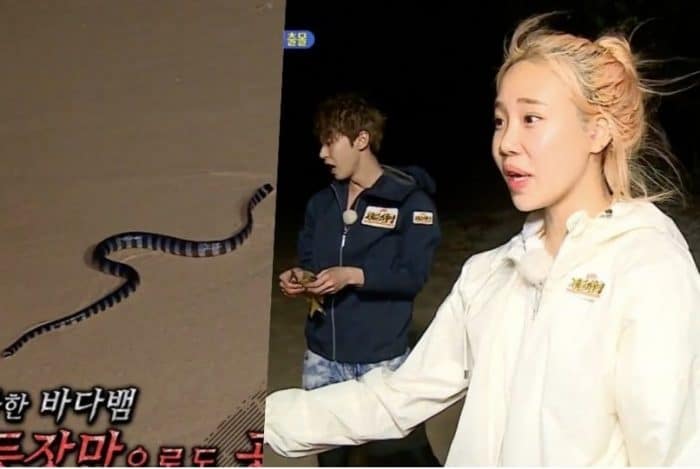 Доён (NCT) и Джуи (MOMOLAND) встретились с ядовитой змеей на Law Of The Jungle
