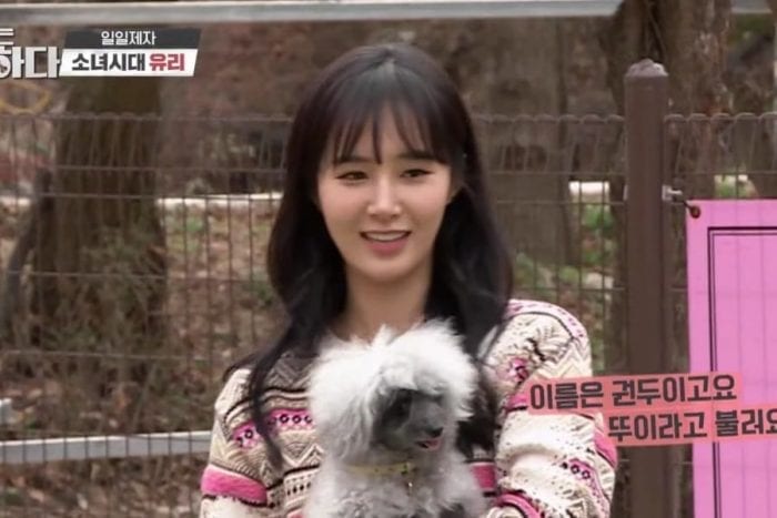 Юри из Girls’ Generation рассказала об интересе к бездомным животным