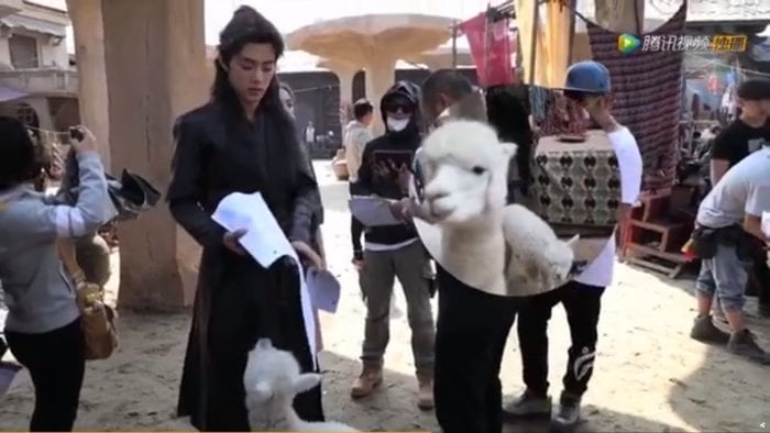Сяо Чжань хорошо поладил с животными на съемочной площадке "Боевого континента"