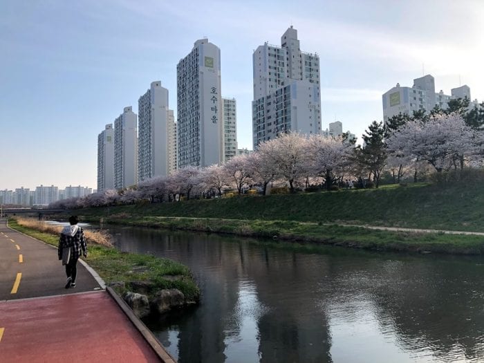 Корея изнутри: аренда жилья в Корее тем, кто едет надолго