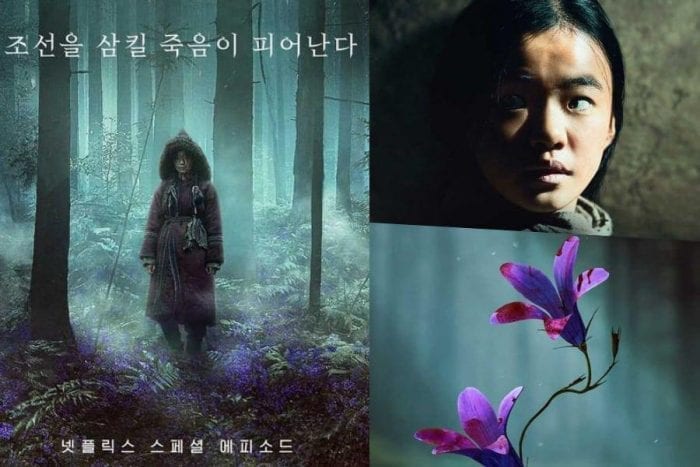 "Королевство: Ашин с Севера" с Чон Джи Хёном в главной роли делится впечатлениями о таинственном приключении на тизер-постерах
