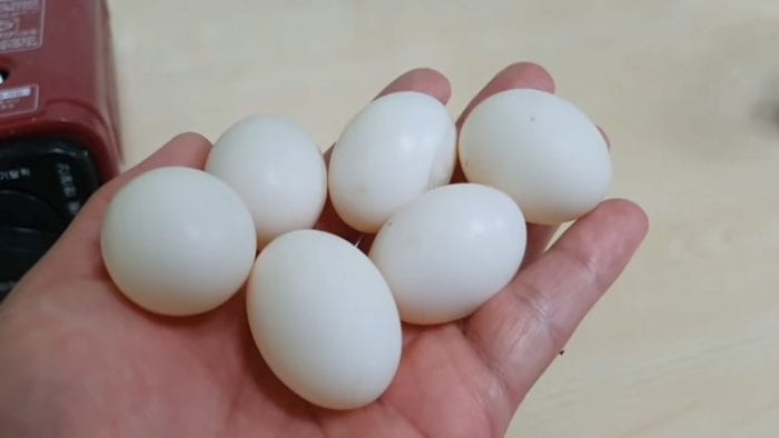 "Соленое даже без соли": Корейский ютубер попробовал голубиные яйца и поделился своими впечатлениями