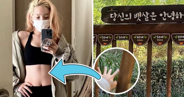 TikTok видео, показывающее строгие требования к внешности в Корее, стало вирусным в сети