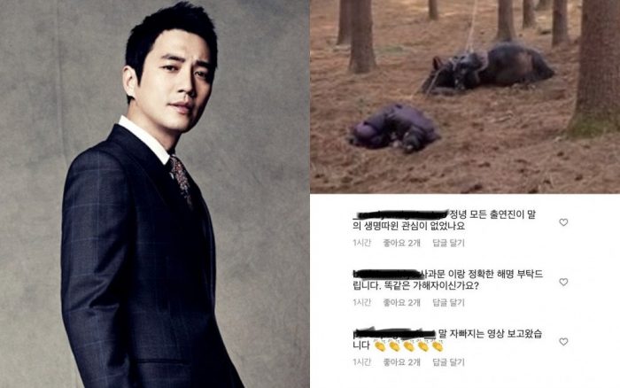Нетизены создали петицию по поводу смерти лошади на съемках дорамы "Тхэджон Ли Бан Вон" + требуют объяснений от актера Джу Сан Ука