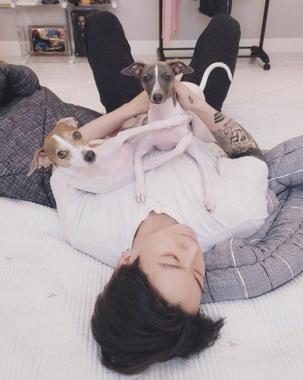 Милые фотографии Чонгука из BTS с собаками очаровали поклонников