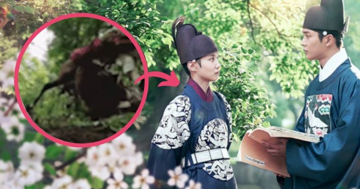 "Они все погибли?" - сцены из корейских исторических дорам с падением лошади начали привлекать внимание нетизенов