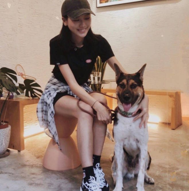 Гонконгская актриса получила серьёзную травму правой руки при попытке защитить своего питомца от большой собаки